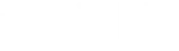 RapidLEI